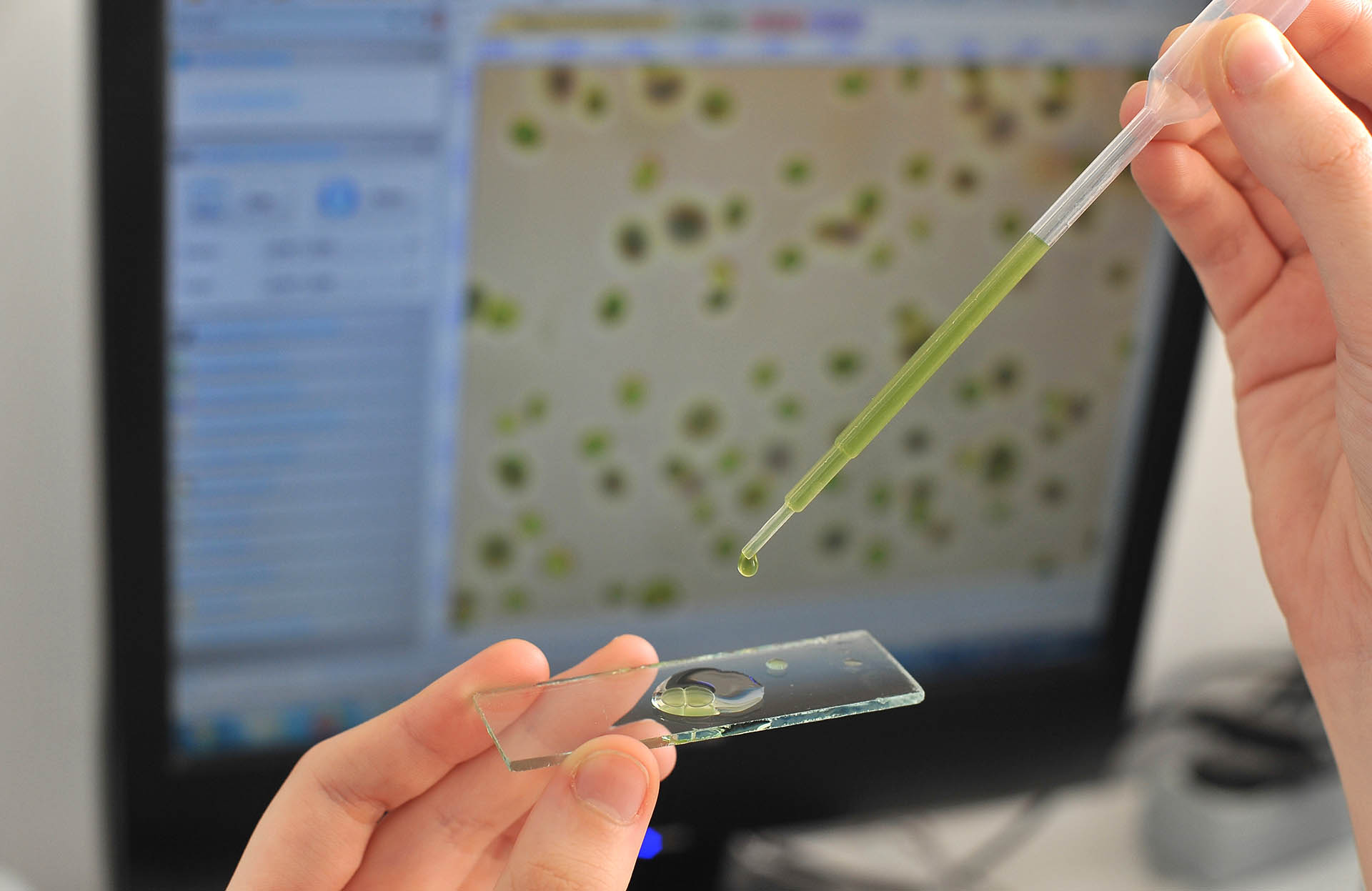 В&nbsp;политехническом колледже города Буденновска создали новые лаборатории