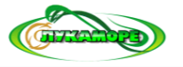 ООО «Лукаморе»